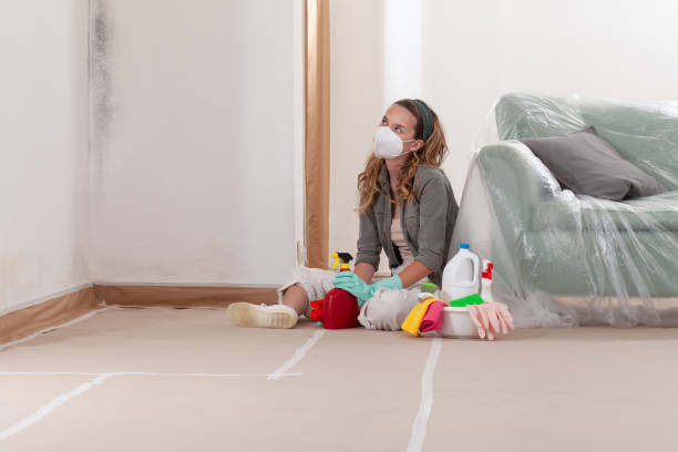 Reliable Mold Inspection And Testing contractor in Rocky Hill, NJ by Car Mold Remediation